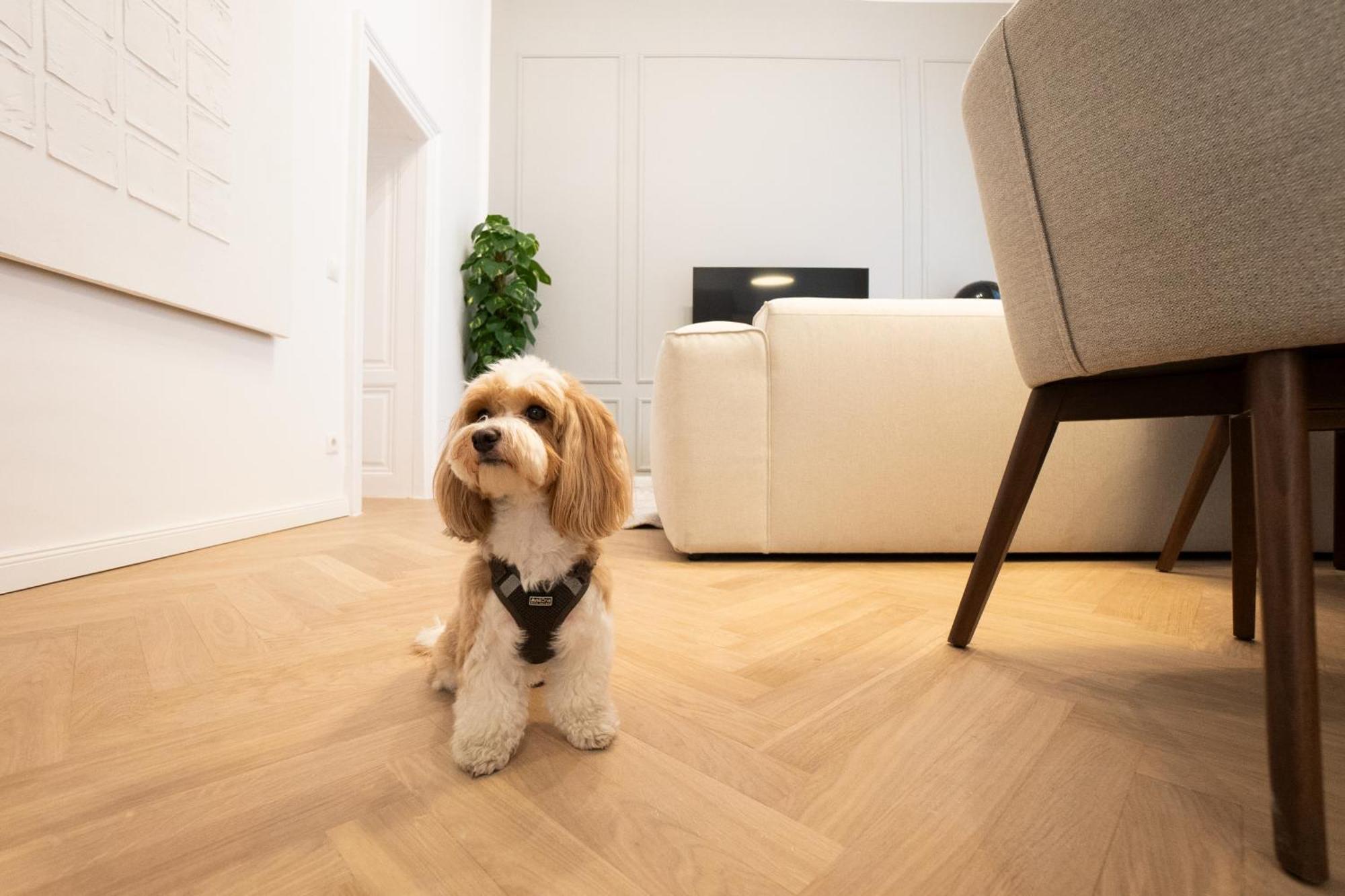 Apartment Stylish & Modern 90m2 Flat In Prime Location *